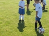 DSCF1384