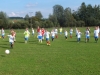 DSCF1453